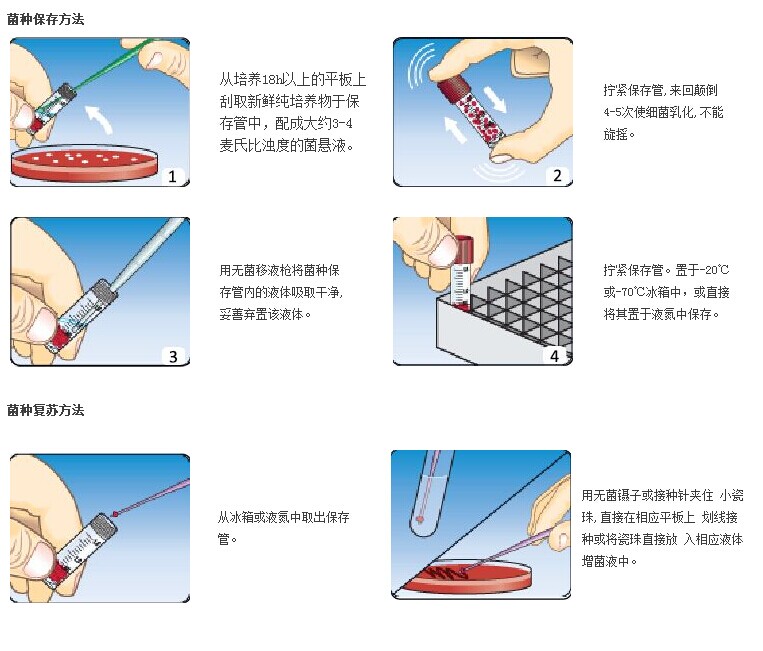 微生物實驗室空調要多少錢-微生物實驗室恒溫恒濕空調系統設計(圖3) 微生物菌種保存